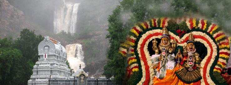 Tirupati Balaji Darshan