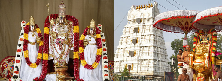 Tirupati Balaji Darshan