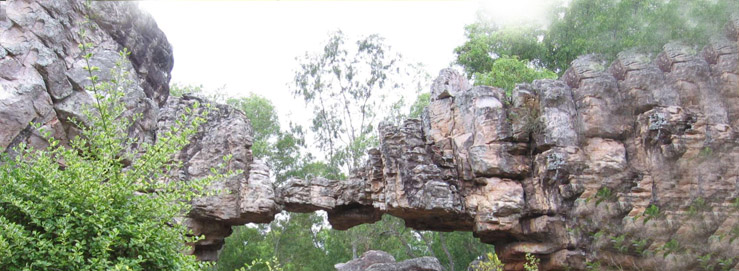 Tirupati Balaji Darshan
