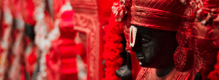 Tirupati Balaji Darshan