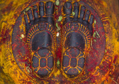 1N/2D Tirupati Packages